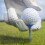 12 golf-tees kunststoff für training und 6