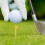 12 golf-tees kunststoff für training und 5