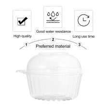 100Stk Einweg Kuchenform Transparente Lebensmittelbox Muffinhalter