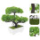 2Pcs Small Green Plastic Artificial Bonsai Tree Fake Plants for Table 11
