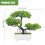 2Pcs Small Green Plastic Artificial Bonsai Tree Fake Plants for Table 10
