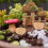 10 Miniatuur Model Decoratie 5