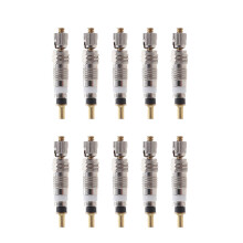 10 ventielkern voor tubeless - en - ( )