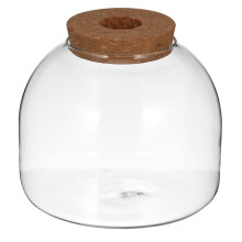 Glass Terrarium Mit Holzstopper Für Hydroponik