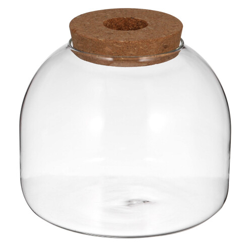 Glass Terrarium Mit Holzstopper Für Hydroponik