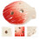 Ceramic 6 Holes Ocarina Cartoon Shell Musikinstrument 5