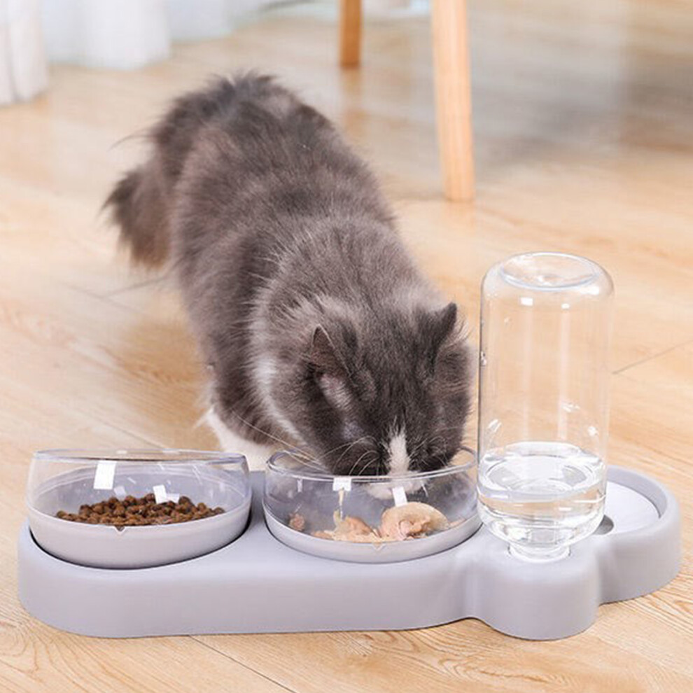 Pet Water & Food Bowl with Tilt Design, Detachable Gray PP/PC-image-OPC-PKZVW82-NEW
