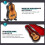 1 Set Gitarrenmodell Farben Kunststoff 6