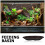 Simple Design Reptilien Futter Schale ABS 1 8