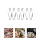 6 Escargot-Backklammern Aus Zum 5