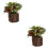 2Stk Künstliche Bonsai Topfpflanze Desktop 8