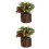 2Stk Künstliche Bonsai Topfpflanze Desktop 7