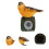 1St Künstliches Vogel Solarlampe Dekorative Leuchte 4