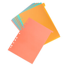 Document Trennblatt Aktenordner 31 11,7x8,9x0,2 Zoll