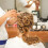 Roller Diy Haarstyling 6 Set 3,0 6