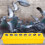 2 Vogelfutterbehälter Fütterungs Und Wassertränke Trog 11