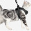 Verstellbare Pet Cat Geschirr Weste Mit (Grau, L) 10