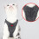 Verstellbare Pet Cat Geschirr Weste Mit (Grau, L) 11