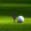 5 Divot Tool, Verschleißfest, Golfsballgabel, 4