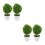 4 Pcs Artificial Plant Ball Decorative Bonsai Plastic Flower Green 6