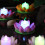 5Stk LED Schwimmende Lotus Lichter Für Teich, Pool, Garten 2