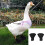 Breathable Waterfowl Duck Booties, Black, 10x7.5cm 4