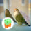 Bird Cage Futterbecher Vogelfutterbecher Grün Kunststoff 2er Pack 4