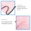 2Stk Haarschnitt Schal Kleid Braut Pongee 8