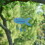 Sea Themed Willkommensplatte 1 Satz 3