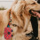 1St Pet Dropshipping Neopren Bedruckt 10