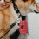 1St Pet Dropshipping Neopren Bedruckt 8