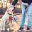 1St Pet Dropshipping Neopren Bedruckt 9