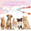 Hundehalsband Mit Für Große 7