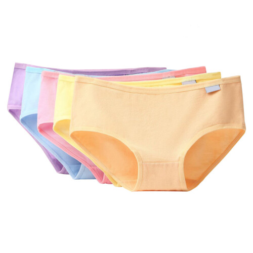 5 Damen Slips In Süßigkeitenfarben Größe Xl