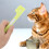 2 Sets Kinder-DIY- -Spielzeug, STEM-Wissenschafts- -Kit 9