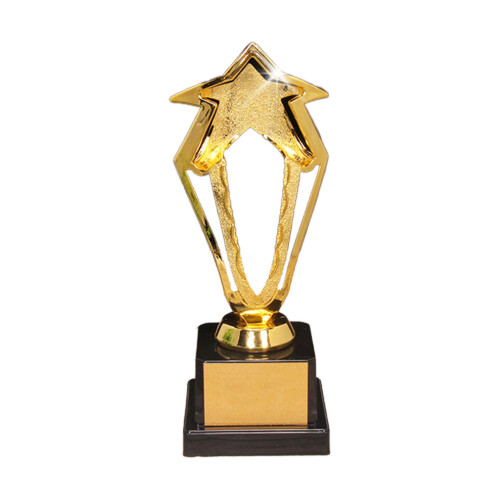 2Pièces Trophées Dorés Événement Récompense Cérémonie