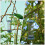 2Stück Vogelfutterhaus Eisen, -Design Für Außenbereich 8