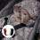 3St Cart Net Voorruit Baby Mesh 3
