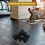 Dumbbell Kettlebell Voor Kinderen Zwart 9