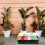 Anzuchttablett Anzuchttöpfe Transparent Kunststoff 1 Set 9