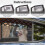 Window Dog Outdoor Huisdierhek Auto 1 8