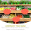 Raindrops 120 Verwijderbare Prijsaangevingen Labels 9