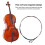 Cello Strings Full Set Steel Core 4/4 Replacement Bright Tone & Strong Build 5