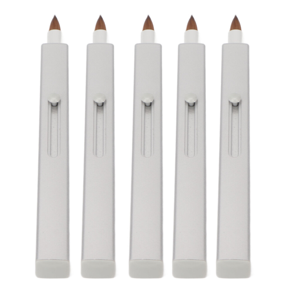 5Pcs Retractable Nylon Lip Makeup Brushes Portable, Grey Shell