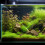 Hose Bürste Aquarium 1 Satz 3