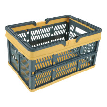 2St Opvouwbare Plastic Mand Voor Boodschappen Camping Duurzaam
