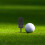 5Pièces Fourche Réparation Pelouse Golf Noir Robuste 4
