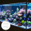 Aquarium Filter Separator Weiß 1 Satz 3