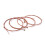 6 Set Acoustische Daisyparty Gitaar 6
