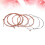6 Set Acoustische Daisyparty Gitaar 5